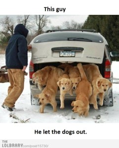 who-let-the-dogs-out-